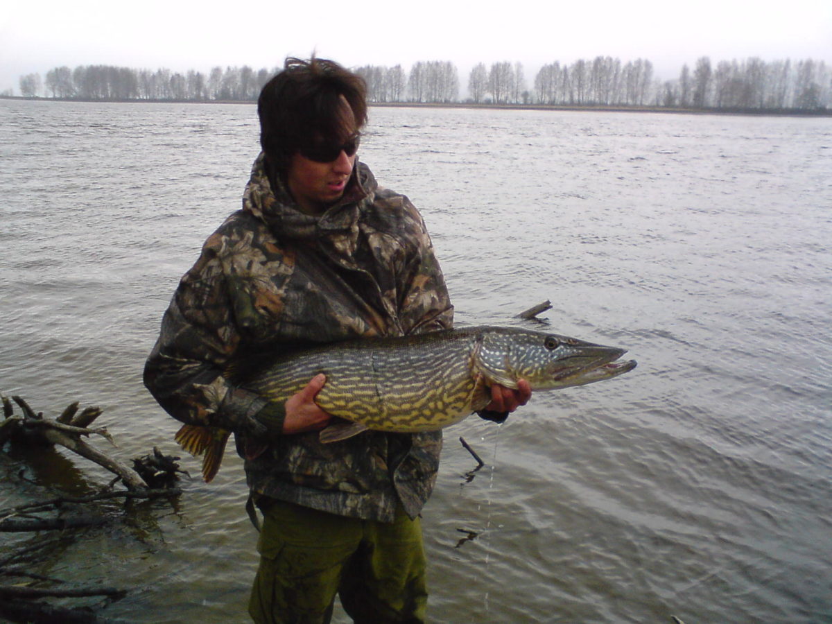 Tangatruse årskavalkade 2008..