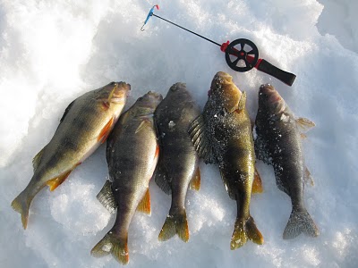 En fiskehelg..