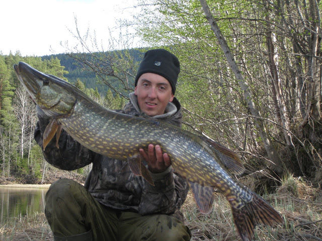 Et halvår med Roger..