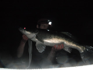 Usel bild men fin gös :)