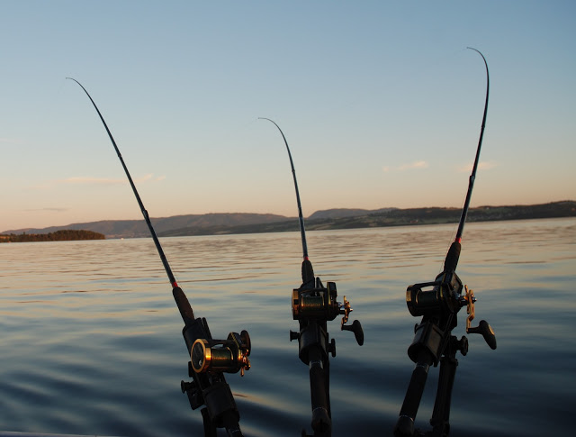 Sommerlig fiskefilm fra Roger..