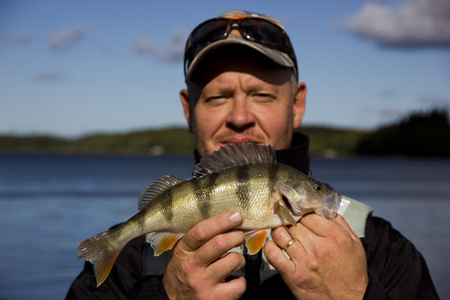schysst höstborre video.