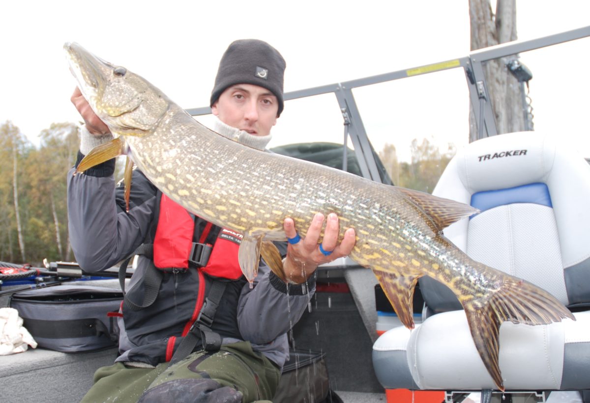 Autumn pike diaries day1