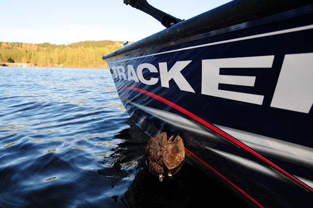 Autumn pike diaries day3
