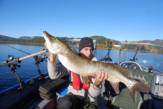 Autumn pike diaries day5