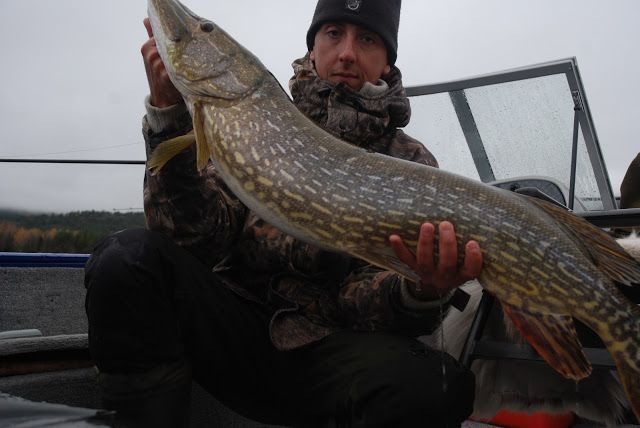 Roger ¨Tanga¨ Hoftvedt