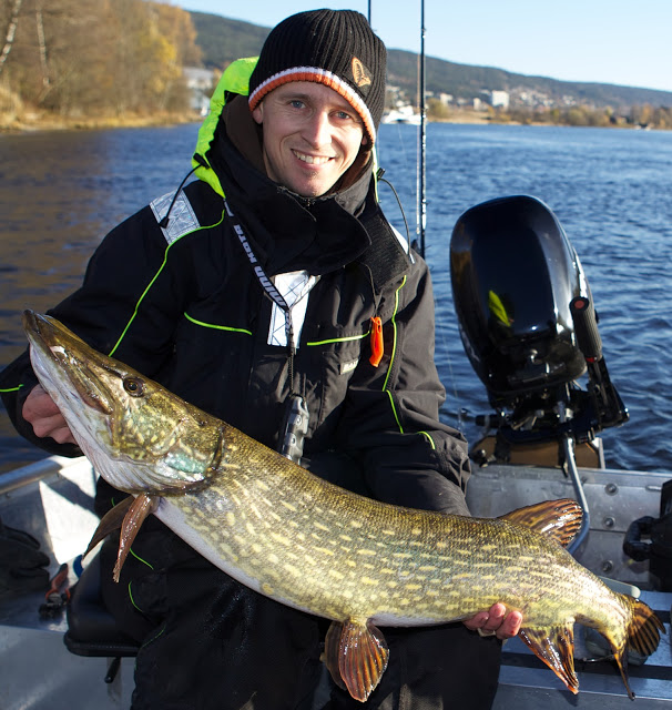 Plukker fisk jevnt og trutt……