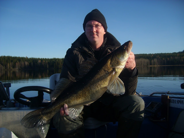 Danielsen jakter pelagisk og lykkes.