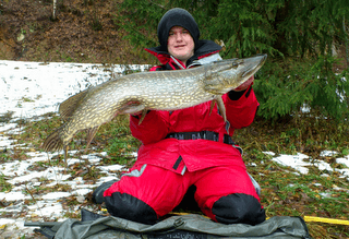 Uten tvil strøken gjedde :-))