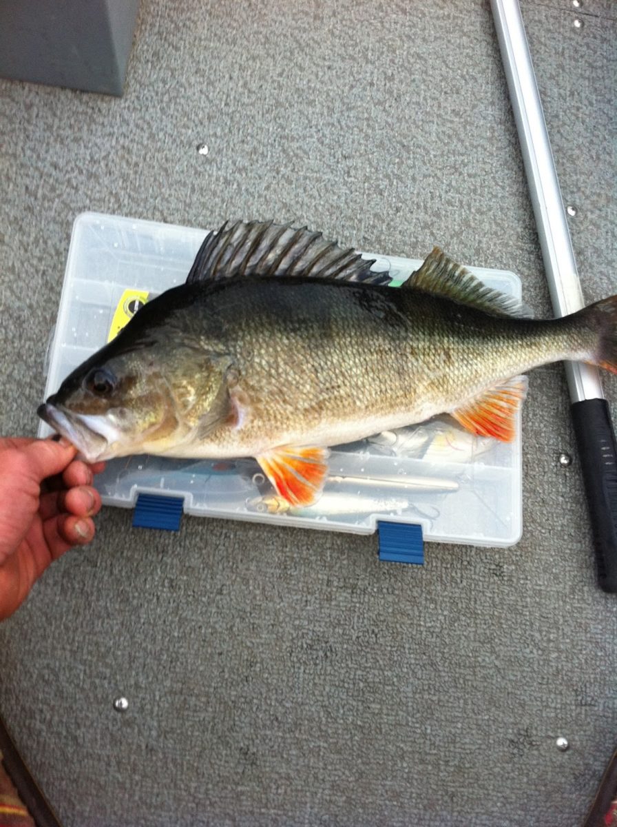 Even med to nye og opp på 2. plass.