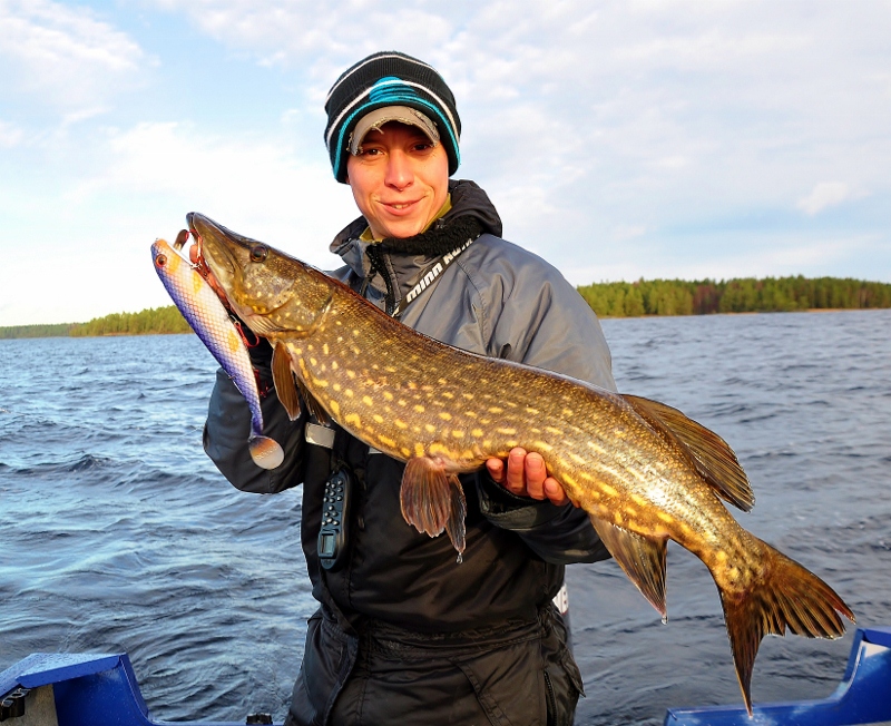 gummi her i fra til Kirkenes…..