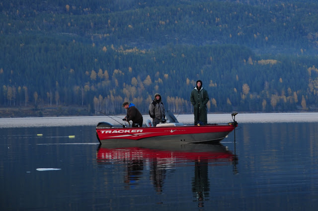 Autumn pike diaries day7