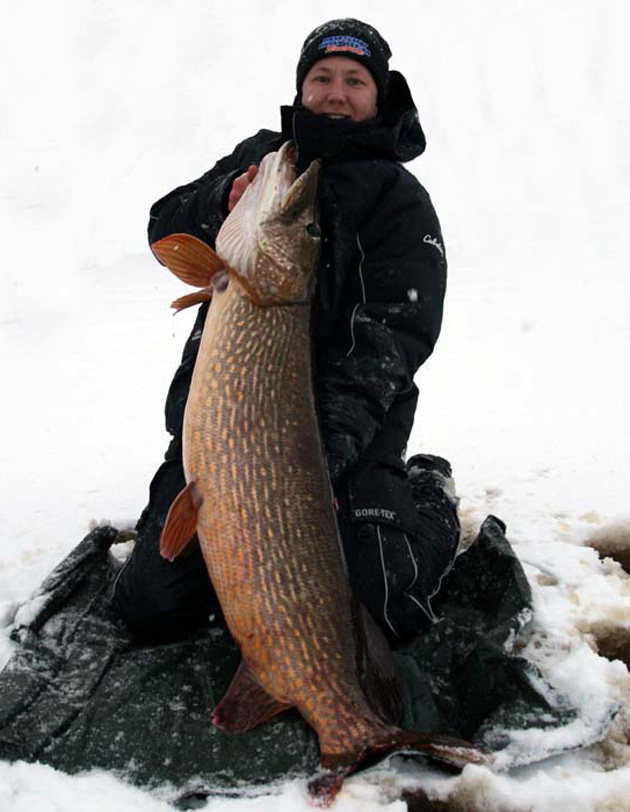 Gigant gjedde tatt på isen  19,04 kg………