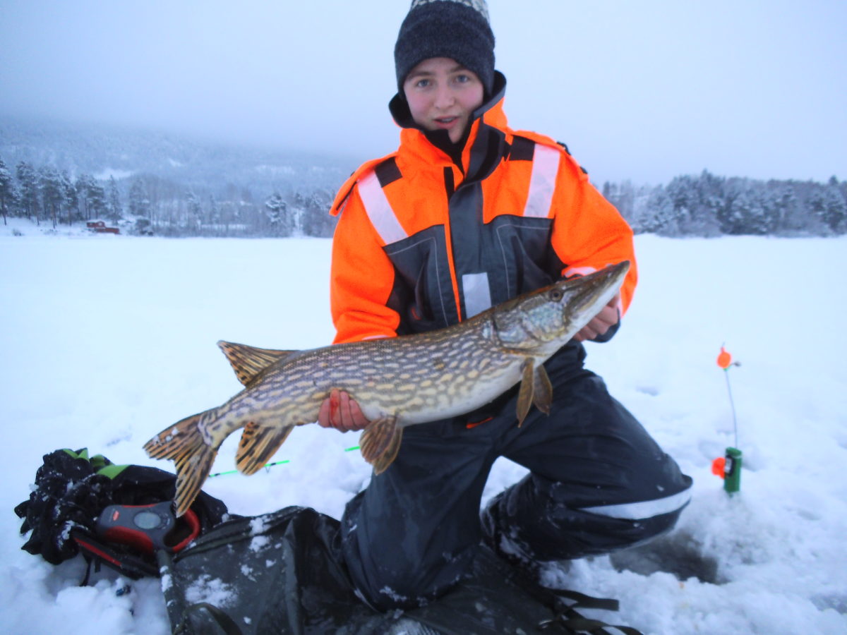 Flott 7+ fisk fra Ole Petter.