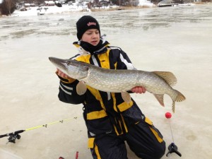 97cm 6,3kg