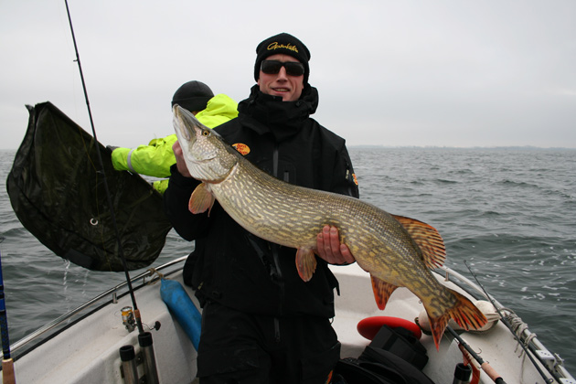 Brutalt Gäddfiske i Rügen