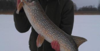 6850 gram