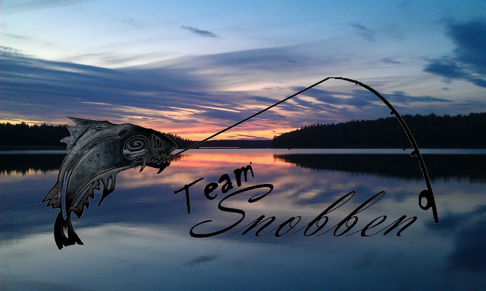 Team Snobben