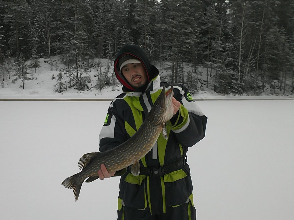 Pb Gös för Robin, ismete!