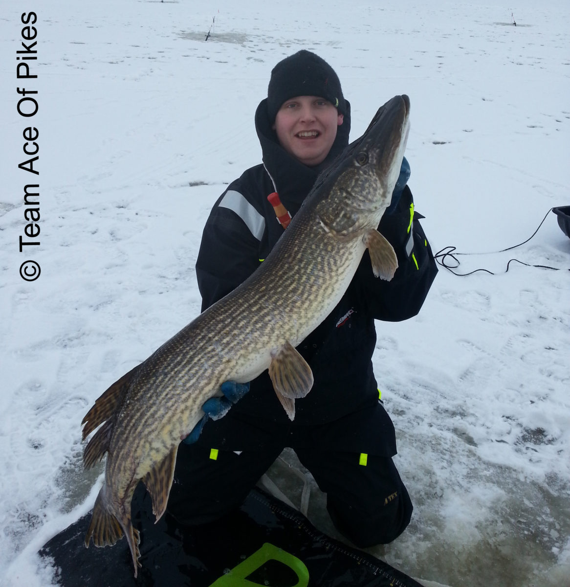 ace of pike gjenget gjør det igjen