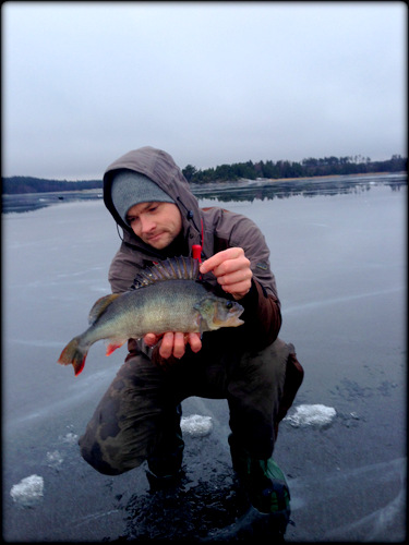 En ny fin balansepilk abbor…..