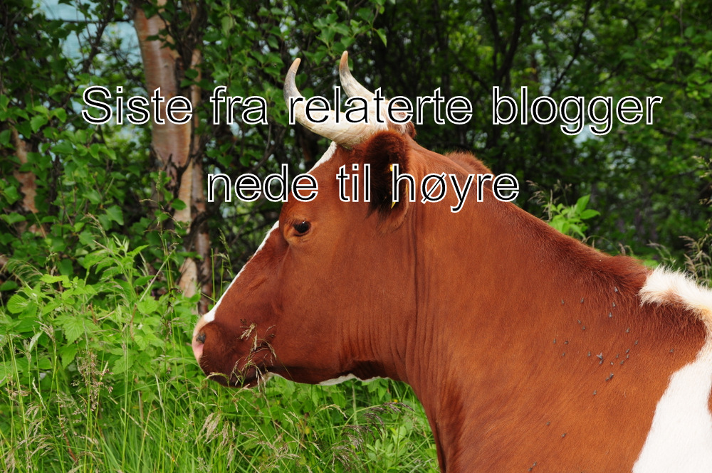 Det jobbes å jobbes……
