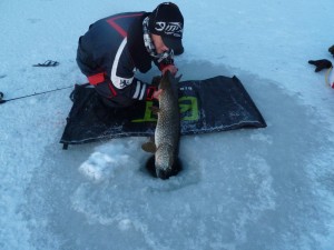 9000 gr og 117 cm 