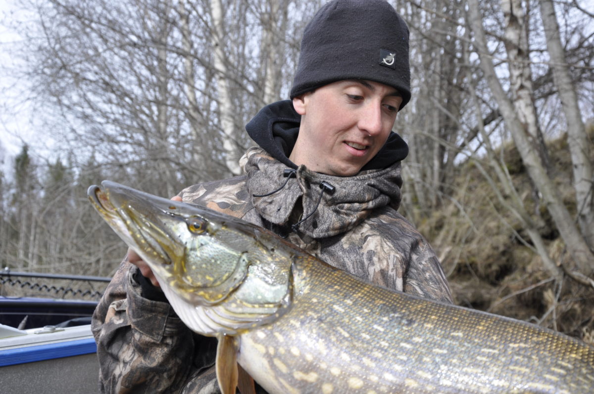 Roger gnur, På film!