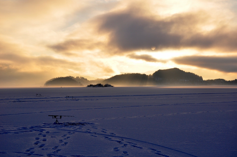 DSC_0111 (800x531)