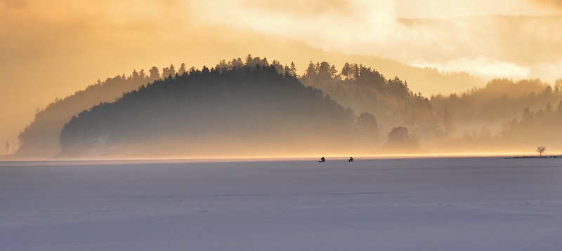DSC_0113 (800x358)