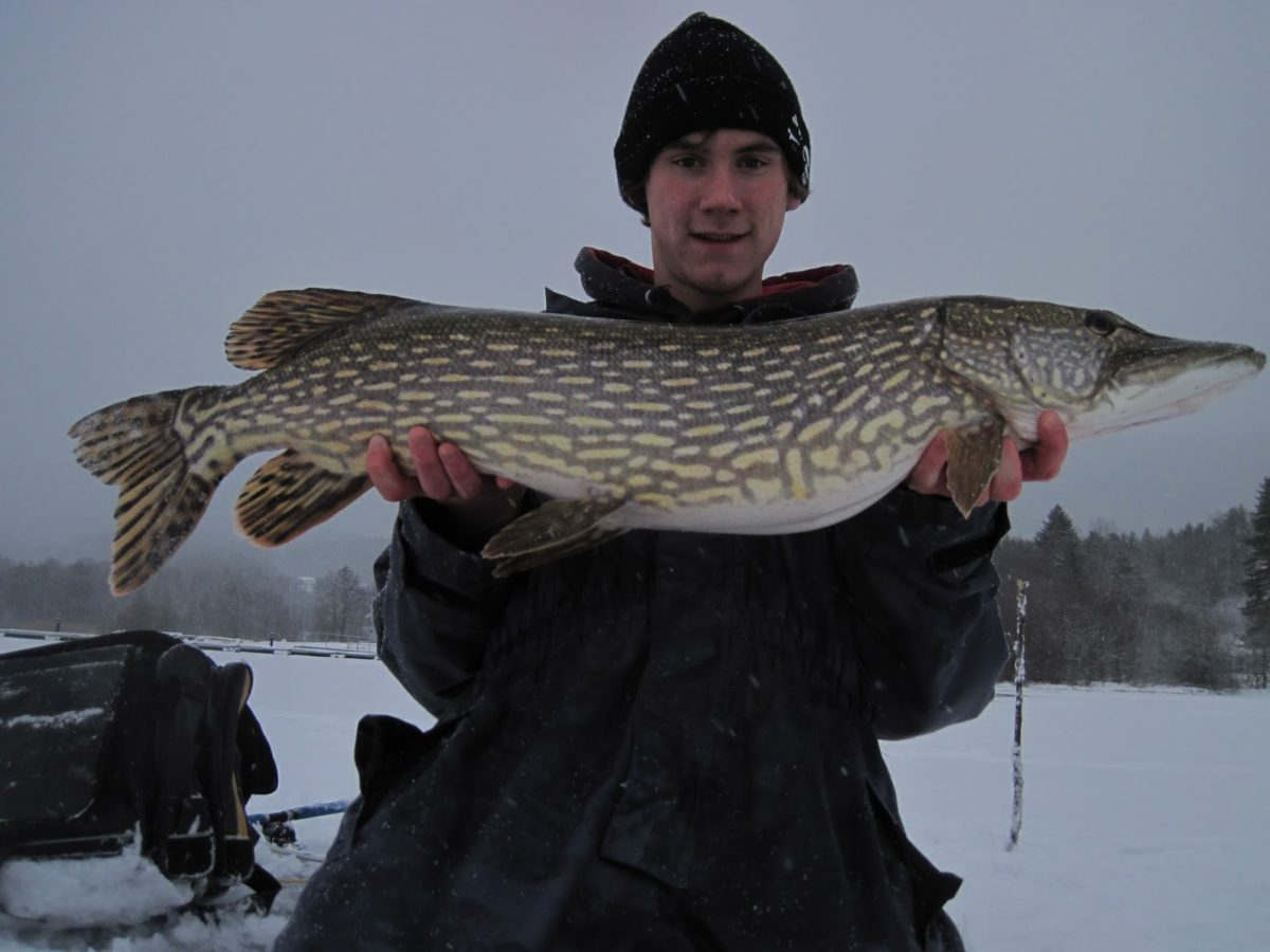 Opsal filmer  på isen.