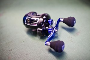 IMG_4236_1