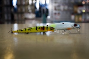 IMG_4288