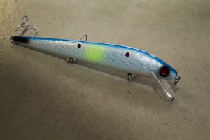 IMG_4291