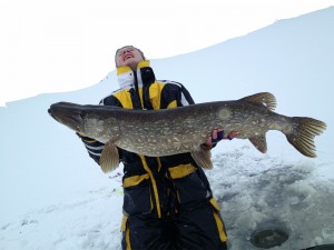 13100 gr 121 cm 
