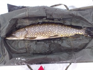 6700gr Lars Tvedt