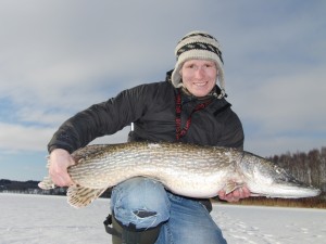 7340 gr 