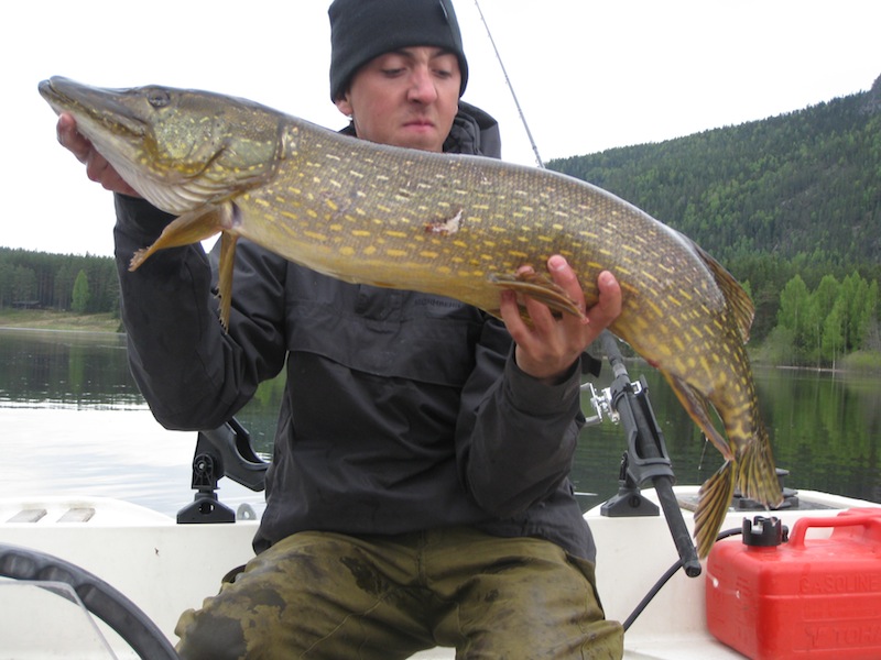 primitivt, men effektivt.. (film)