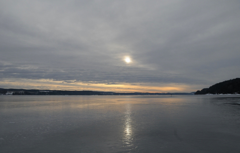 DSC_4878 (800x512)