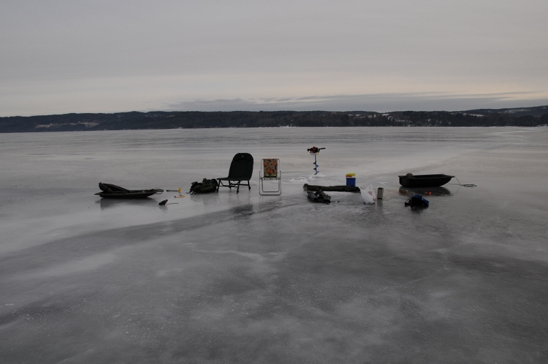 DSC_4911 (800x531)