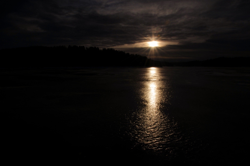 DSC_4945 (800x531)