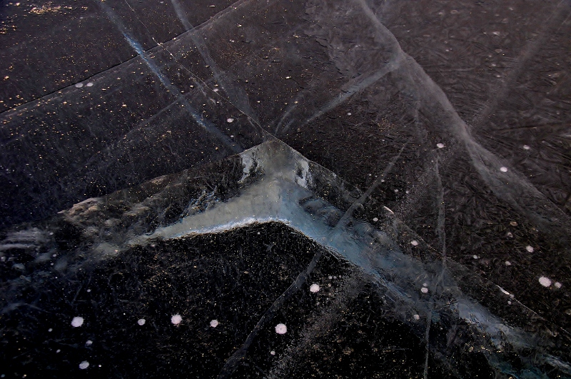 DSC_4950 (800x531)