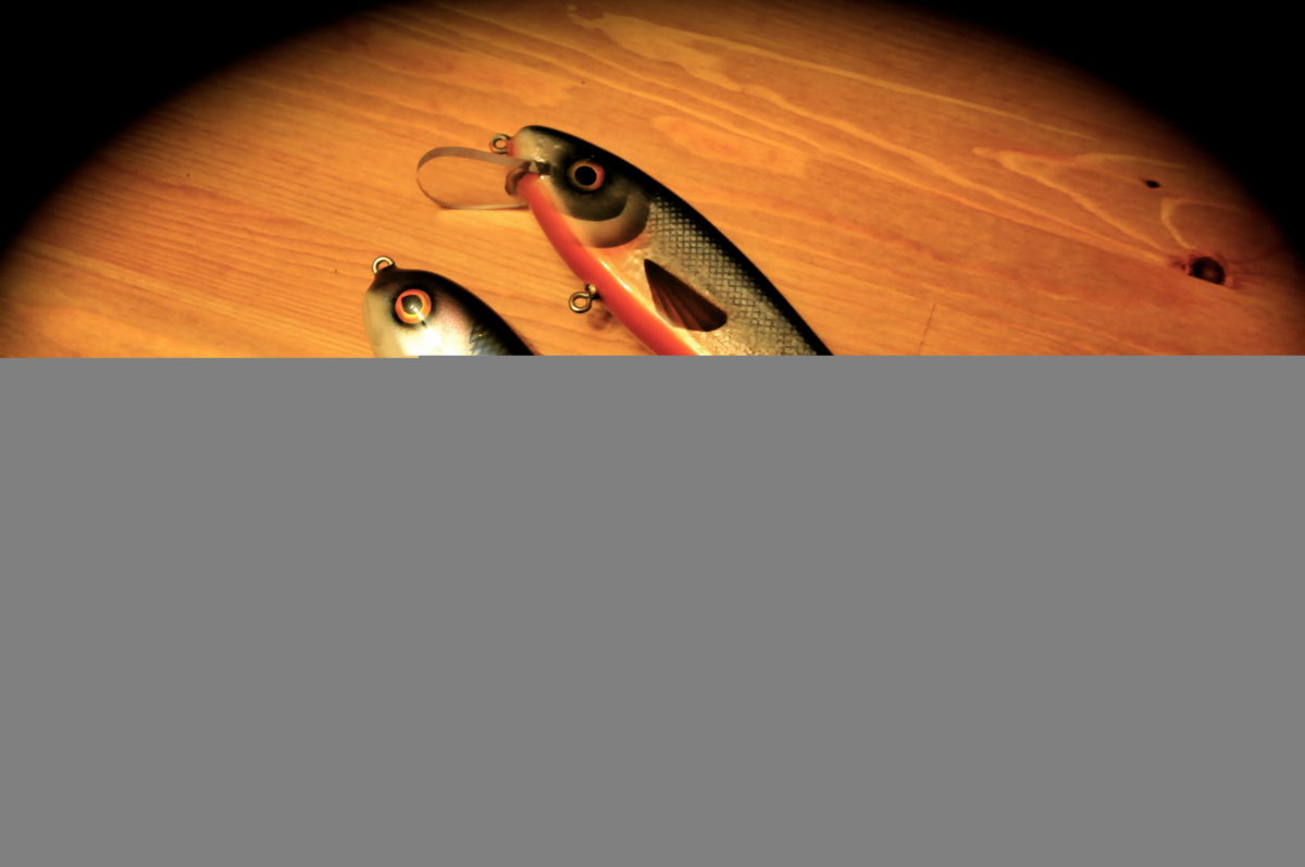 VINNERE  for Lengst og Tyngst gjedde 2012…