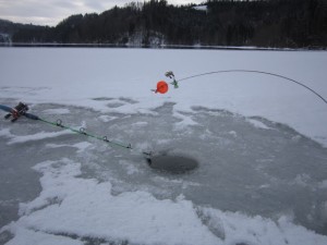 IMG_0300