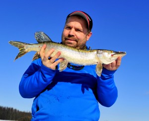 årets første spinngjedde.