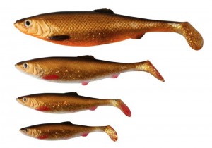 Herring shad 