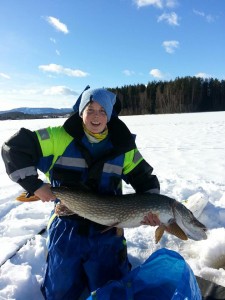 11060gr og 115 cm