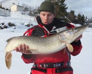 11080 gr 109 cm