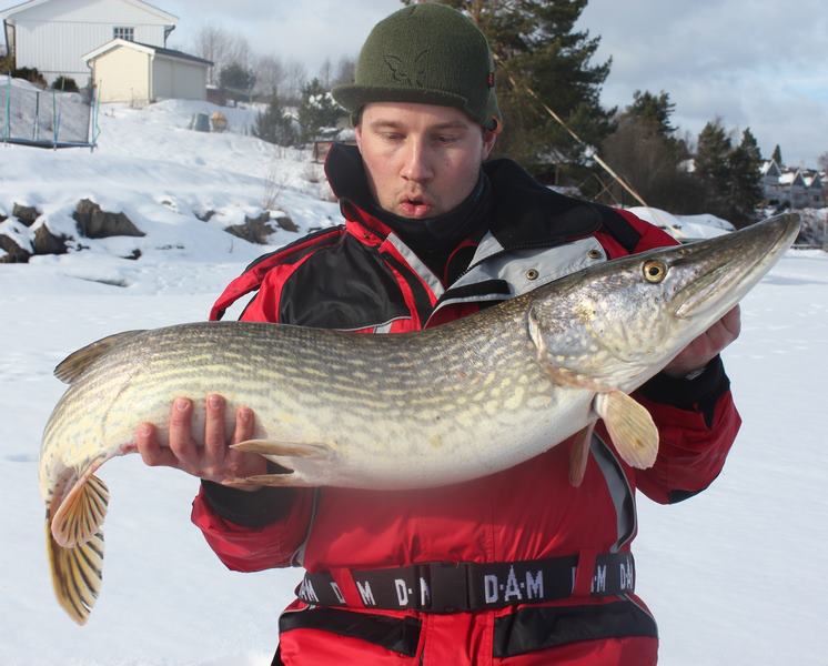 Knallfin elve gjedde av Jon Kolstad (Saturday, March 2, 2013)