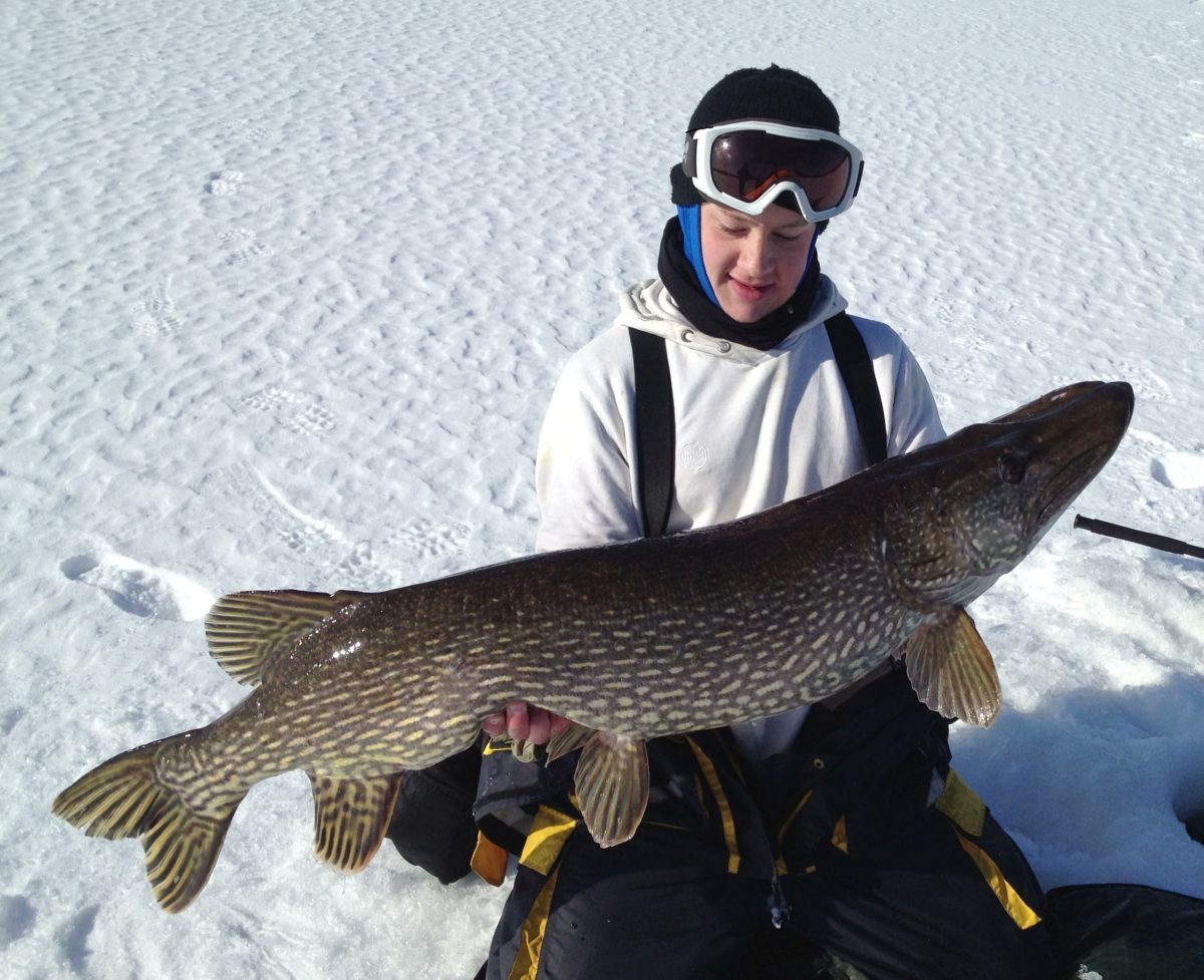 Rå fisk på Gustav… igjen :-))  (Sunday, March 24, 2013)